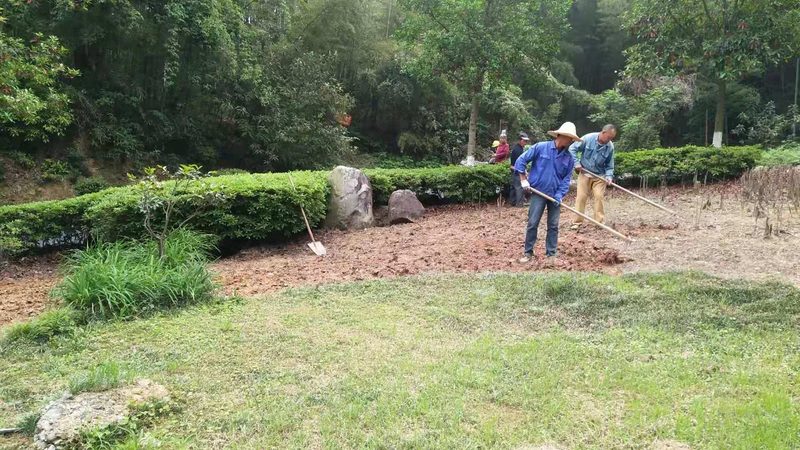 市政绿化土建技术参数规范解析