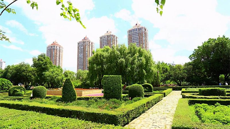 苗木种植报价，如何规避陷阱，确保质量？**