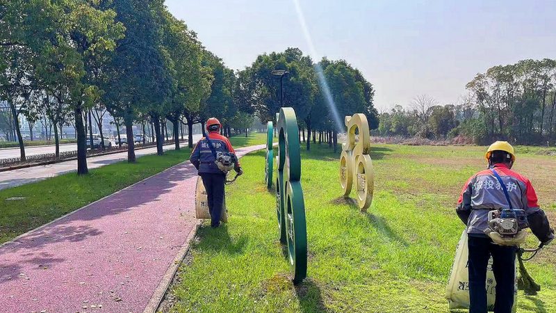 苗木种植技术视频教程：掌握关键步骤，提升成活率**