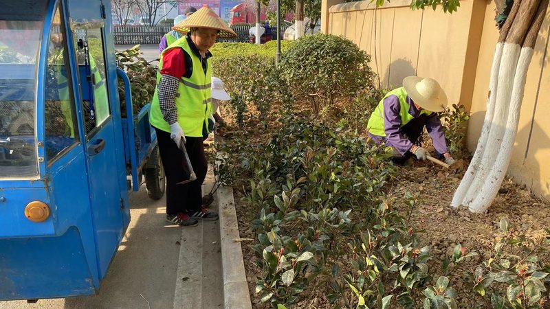 商业广场园林景观验收标准全解析