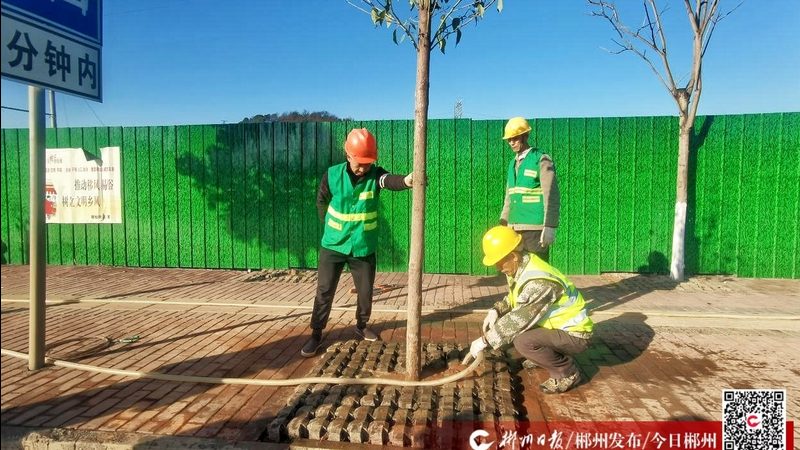 青石板：园林石材中的经典之选，价格如何衡量？**