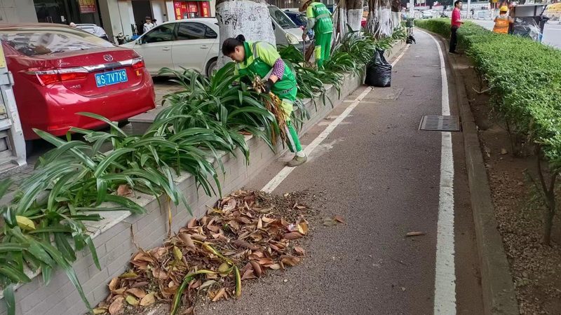 苏州私家庭院设计：如何打造一方绿意盎然的私人天地**