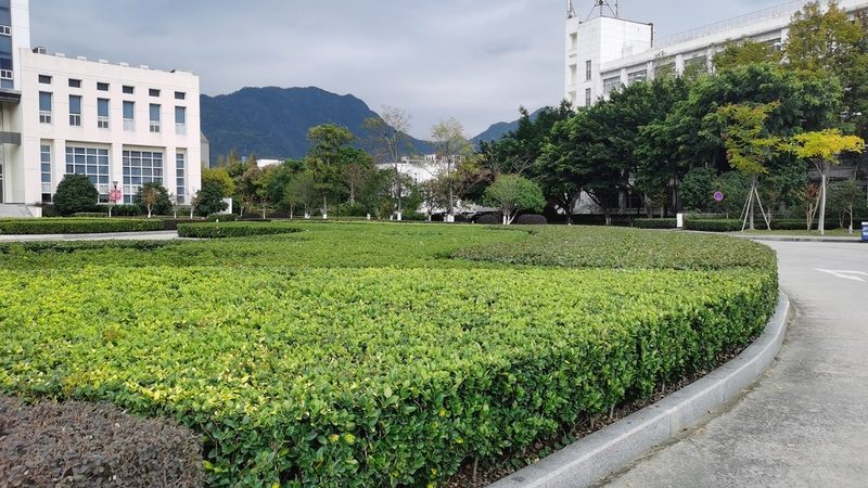 花卉租摆安装多久完成