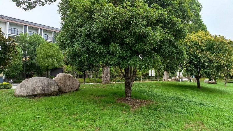 假山喷泉防水验收：标准与关键点解析**